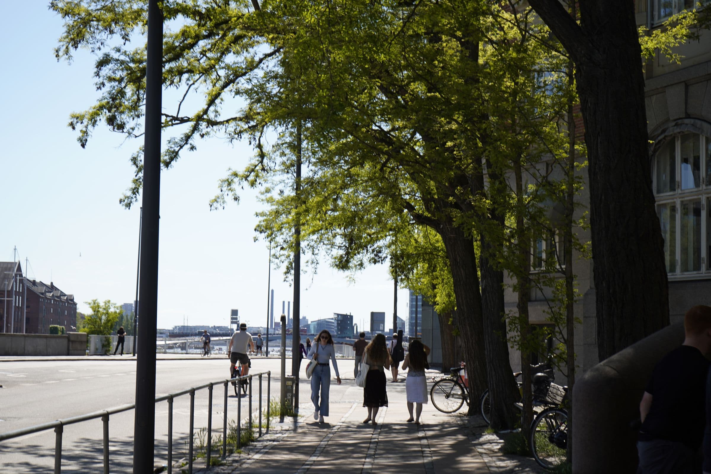 People walking and cycling along a tree-lined waterfront path on a sunny day