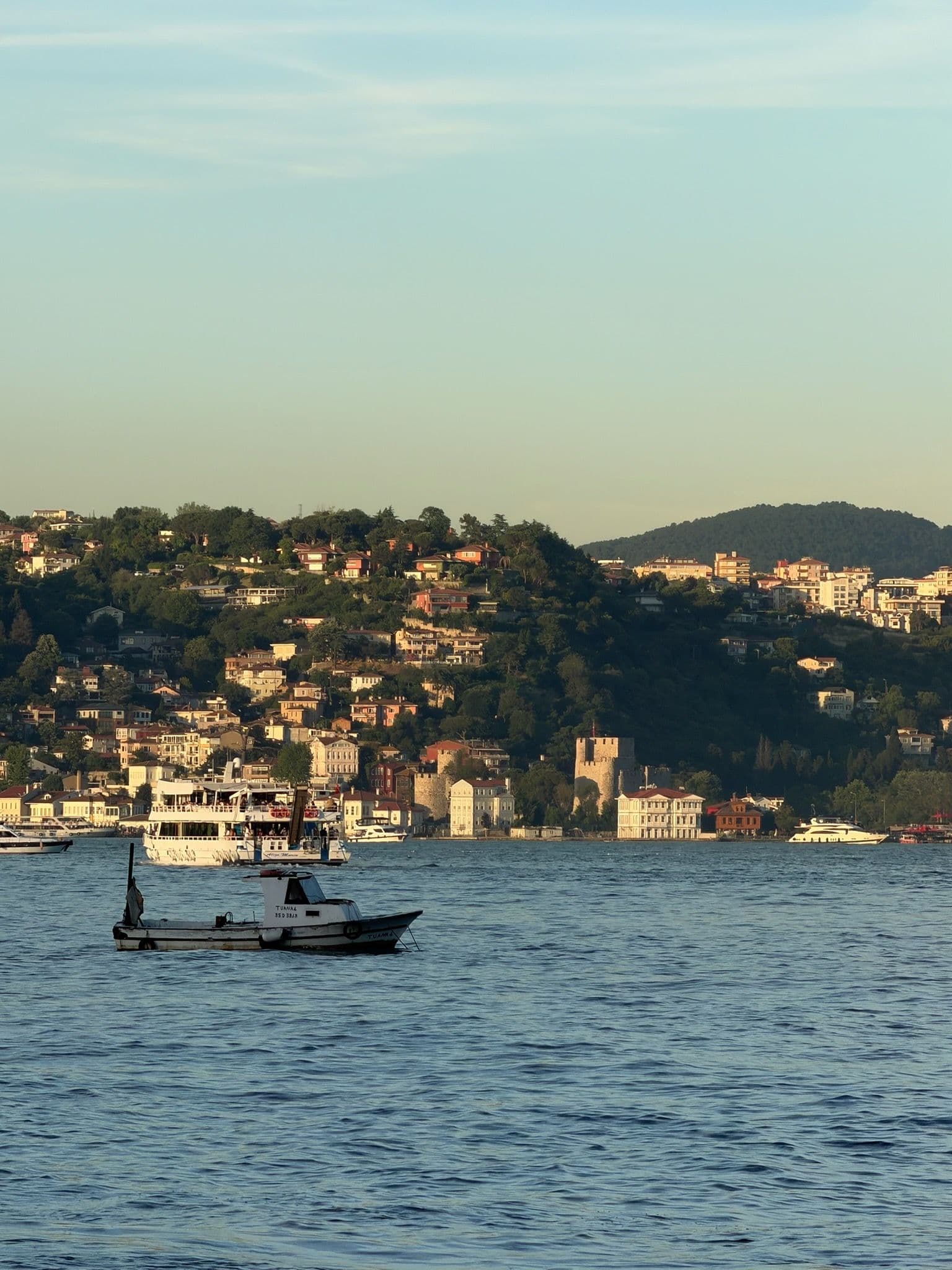 Boats on the water in front of a hillside town