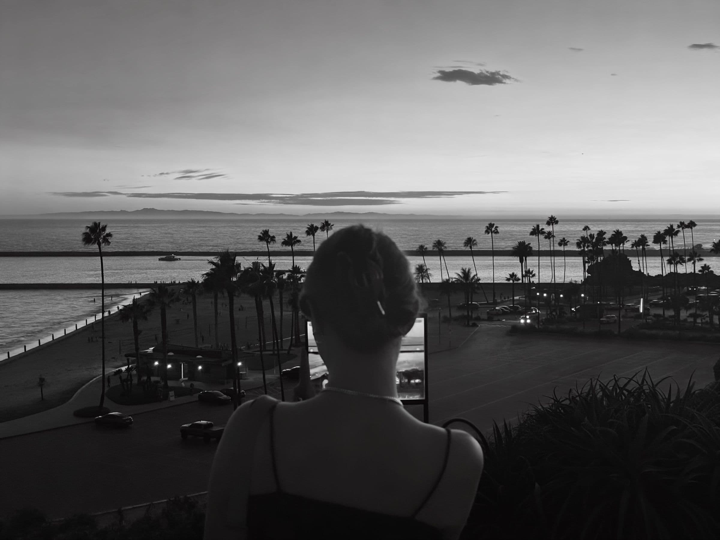 Kawsar from behind, looking out over palm trees and the sea at dusk